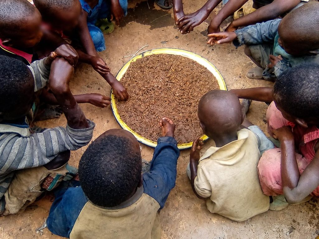 Community food and practical support